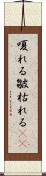 嗄れる Scroll