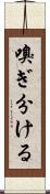 嗅ぎ分ける Scroll