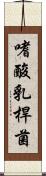 嗜酸乳桿菌 Scroll