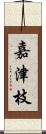 嘉津枝 Scroll