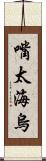 嘴太海烏 Scroll