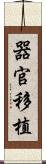 器官移植 Scroll