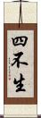 四不生 Scroll