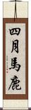 四月馬鹿 Scroll