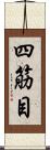 四筋目 Scroll