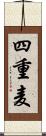 四重麦 Scroll