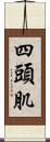 四頭肌 Scroll