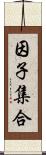 因子集合 Scroll