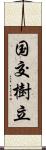 国交樹立 Scroll