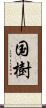 国樹 Scroll