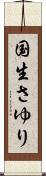 国生さゆり Scroll