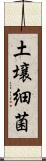 土壌細菌 Scroll