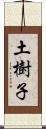 土樹子 Scroll