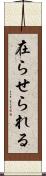 在らせられる Scroll