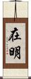 在明 Scroll