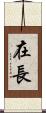 在長 Scroll