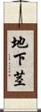 地下茎 Scroll