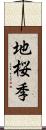 地桜季 Scroll