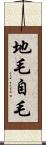 地毛 Scroll
