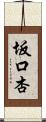 坂口杏 Scroll