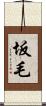 坂毛 Scroll