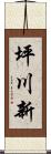 坪川新 Scroll