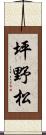 坪野松 Scroll