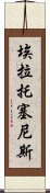 埃拉托塞尼斯 Scroll