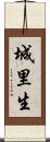 城里生 Scroll