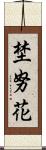埜努花 Scroll