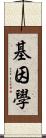 基因學 Scroll