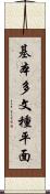 基本多文種平面 Scroll