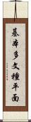 基本多文種平面 Scroll