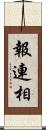 報連相 Scroll