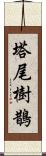 塔尾樹鵲 Scroll