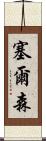 Celson Scroll