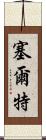 塞爾特 Scroll