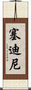 Sedini Scroll