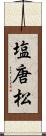 塩唐松 Scroll