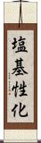 塩基性化 Scroll