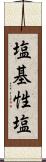 塩基性塩 Scroll