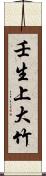 壬生上大竹 Scroll