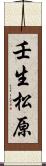 壬生松原 Scroll