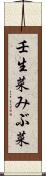 壬生菜 Scroll