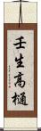 壬生高樋 Scroll
