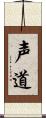 声道 Scroll