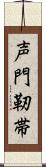 声門靭帯 Scroll
