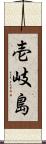 壱岐島 Scroll