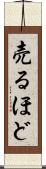売るほど Scroll