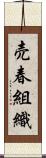 売春組織 Scroll